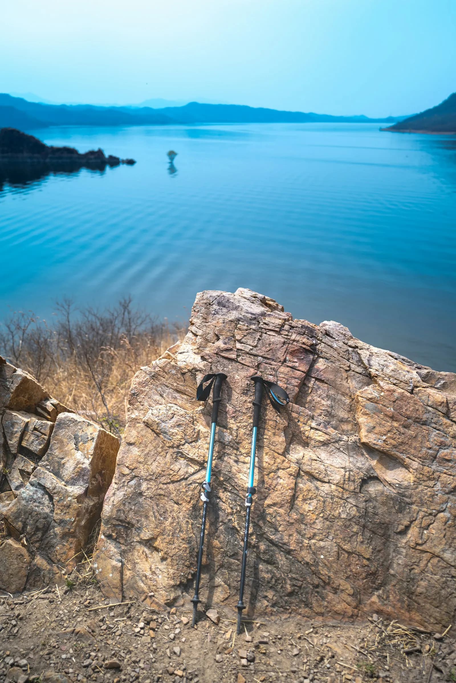 Carbon Cork Trekking Poles (Pair)