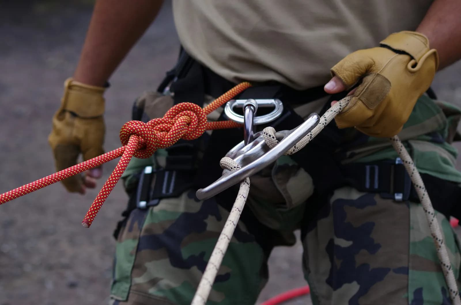 Alpine Lite Climbing Harness S image 3 of 3