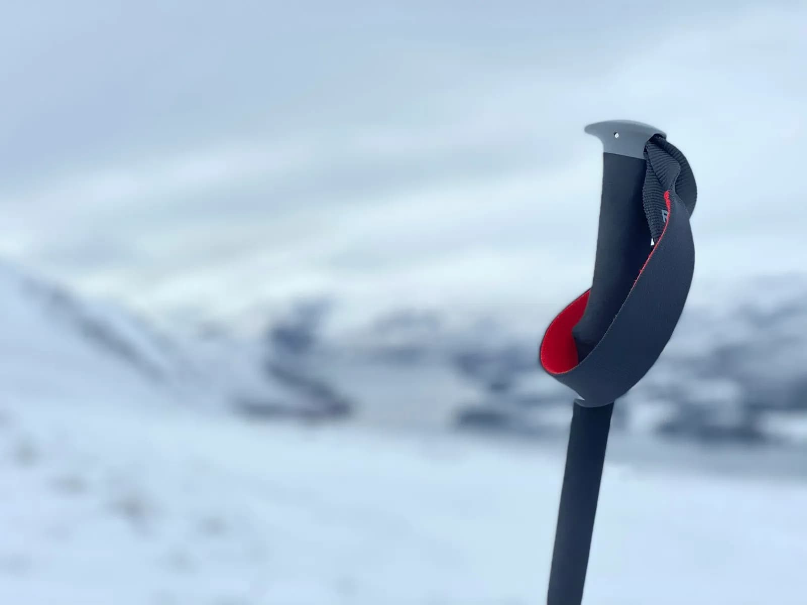 Alu Flip-Lock Trekking Poles (Pair) image 2 of 2