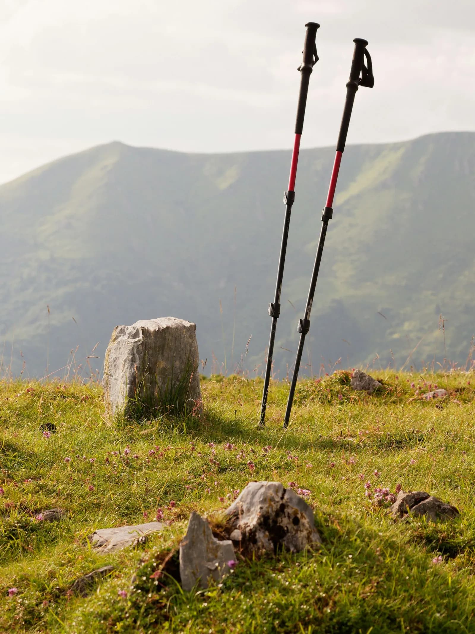 Alu Flip-Lock Trekking Poles (Pair)